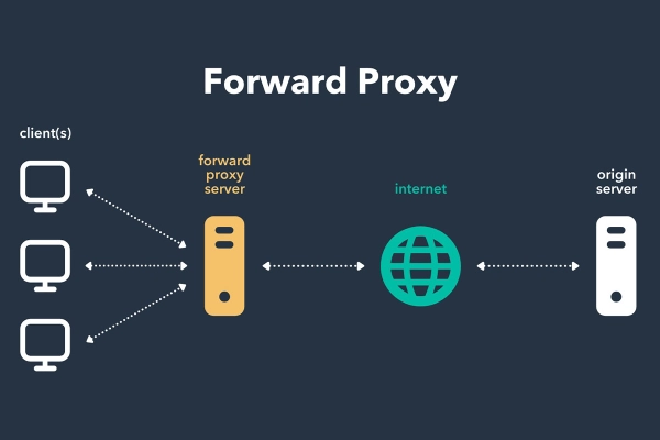 تفاوت Forward Proxy با reverse proxy چیست