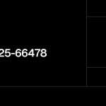 آسیب پذیری بحرانی