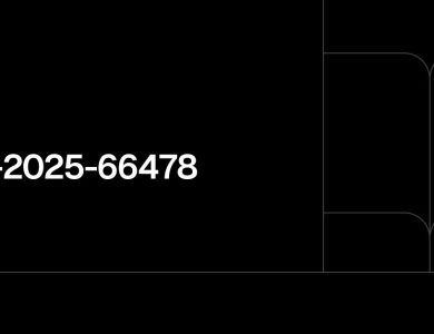 آسیب پذیری بحرانی